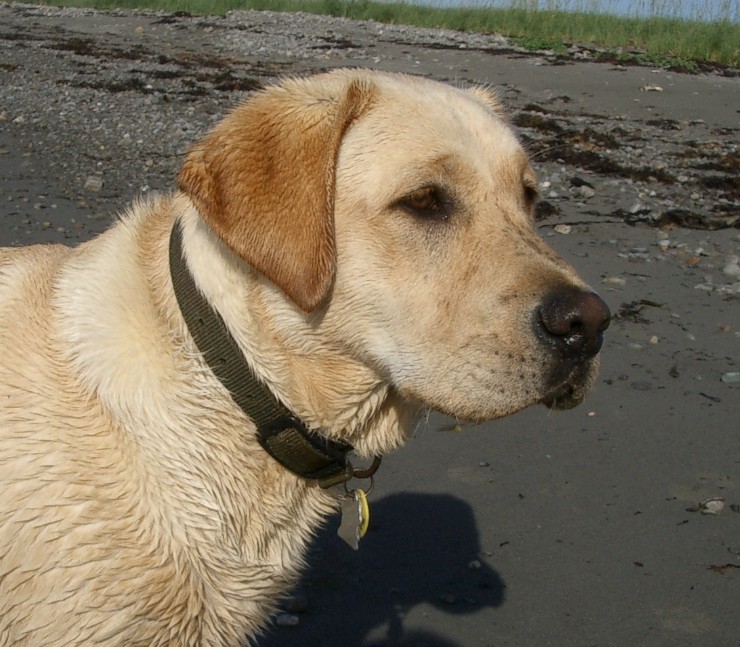 Rocky Summer 2007 014.jpg
